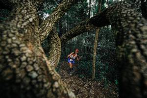 BIB: 
                            <button type="button" onclick="openModal(25393385)" class="btn btn-primary btn-sm float-right btn-popup" data-toggle="modal" data-target=".modal-high-quality">
                        <i class="fas fa-shopping-cart"></i> Add to Cart
                    </button>
                                            <button type="button" onclick="isThisMe(25393385, true)" class="btn btn-success btn-sm float-right btn-popup btn-isme hidden" data-toggle="tooltip" data-placement="bottom" title="นี่คือรูปของคุณใช่ไหม คลิกที่นี่เพื่อเอาเข้าอัลบั้ม">
                        <i class="fas fa-plus"></i> Add to album
                    </button>
                    <button type="button" onclick="isThisMe(25393385, false)" class="btn btn-warning btn-sm float-right btn-popup btn-isnotme hidden">
                        <i class="fas fa-ban"></i> Remove from album
                    </button>